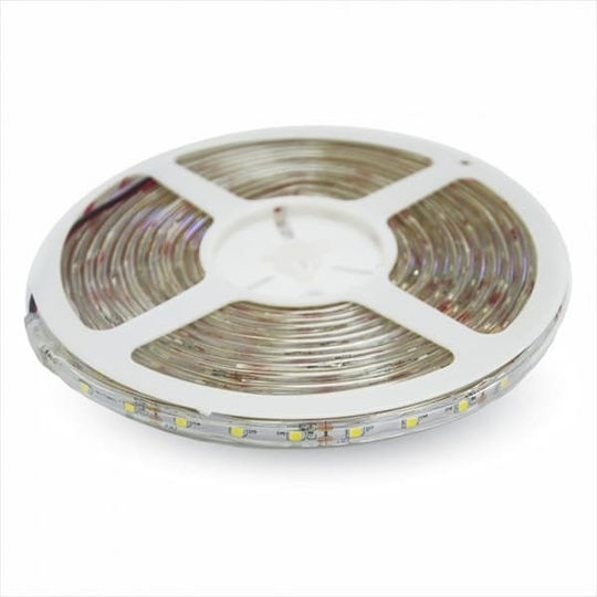 V-TAC Αδιάβροχη Ταινία LED 12V Ψυχρό Λευκό Φως 5m Τύπου SMD5050