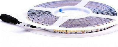 V-TAC LED Strip Power Supply 24V with Natural White Light Length 10m and 240 LEDs per Meter SMD2835