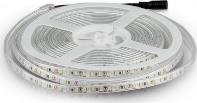 V-TAC Waterproof LED Strip 12V 5m Inspired SMD3528 2037