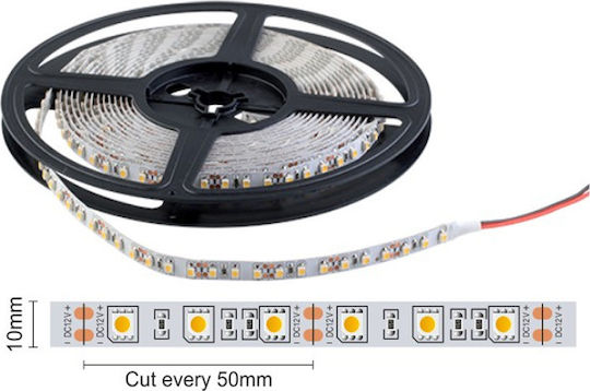 Spot Light Ταινία LED 12V Ψυχρό Λευκό Φως 5m Τύπου SMD5050