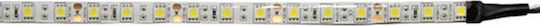 Adeleq Ταινία LED 24V RGB Φως 5m Τύπου SMD5050