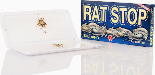 Rat Stop Glue Trap made of Plastic 22x10x1cm 1pcs