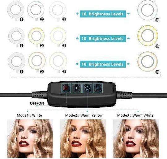 Ring Lamp Ring Light 26cm 2500 - 4500K with Desktop Tripod and Mobile Phone Holder