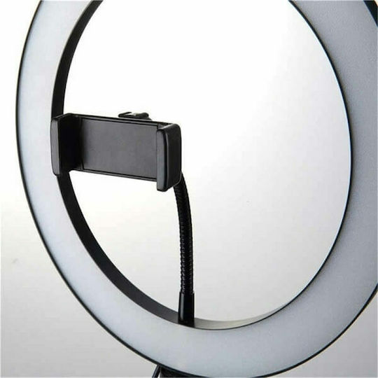 Ringlicht LED USB 26cm 2500 - 4500K mit Bodenstativ und Handyhalter