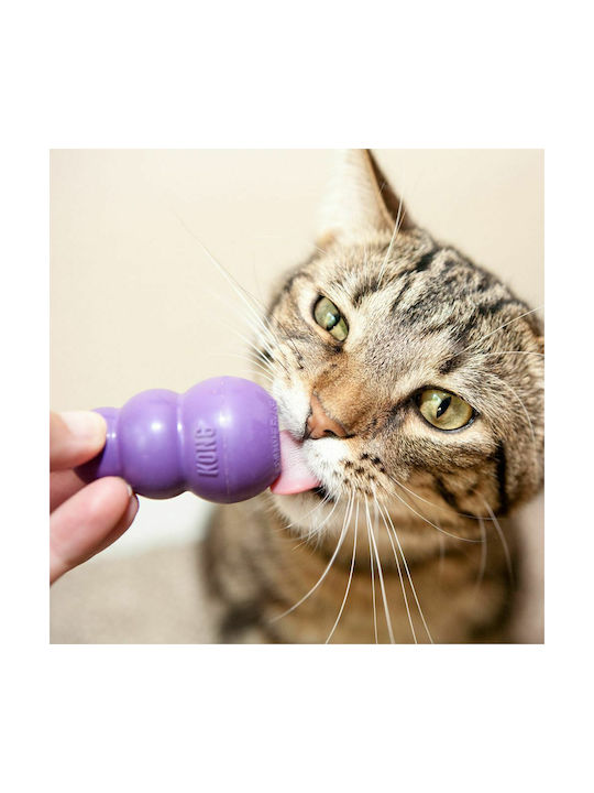 Kong Kitty Kong Kong Kitty Kong