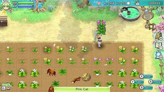 Rune Factory 4 Special Switch Game