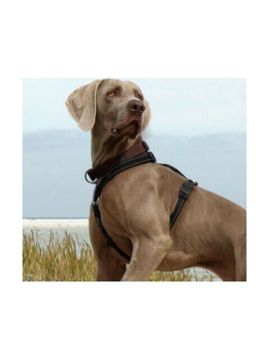 Rogz Dog Harness Utility Classic Red Dog Harness Red Large RGSJ06C