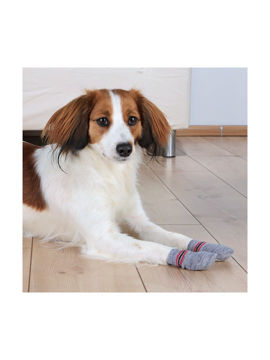 Trixie Чорапи Куче XLarge 2бр Trixie Чорапи Куче XLarge 2бр