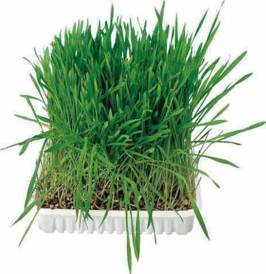 Trixie Grass Plastic Plate for Adult Cats 100gr 4235