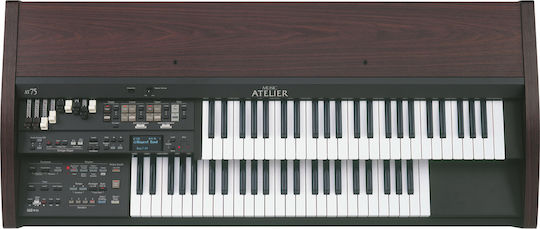 Roland Synthesizer AT-75 mit 49 Dynamisch Tasten Schwarz