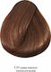 Bioshev Professional Hair Color Cream 7.77 Ξανθ...
