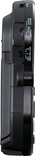 Roland Vocal Trainer