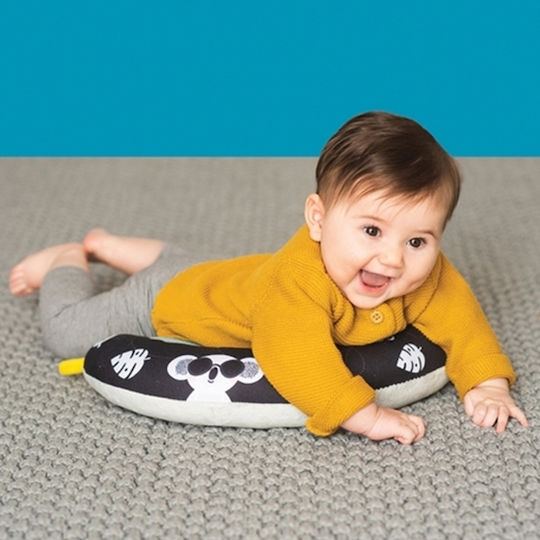 Taf Toys Tummy Time Pillow Activity Pillow for 6+ Months