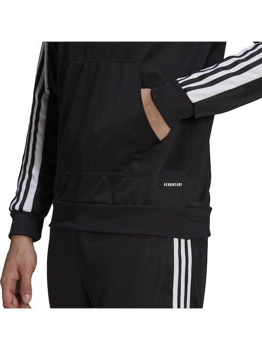 Squadra 21 Sweatshirt with Hood Black