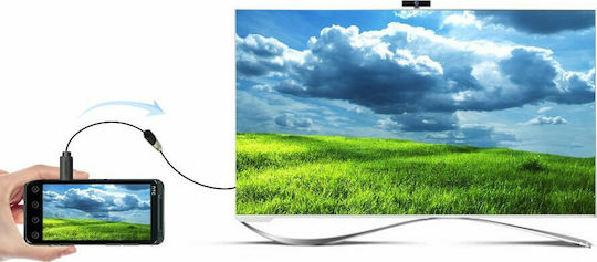 Ugreen Converter micro HDMI male to HDMI female 1pcs 20134
