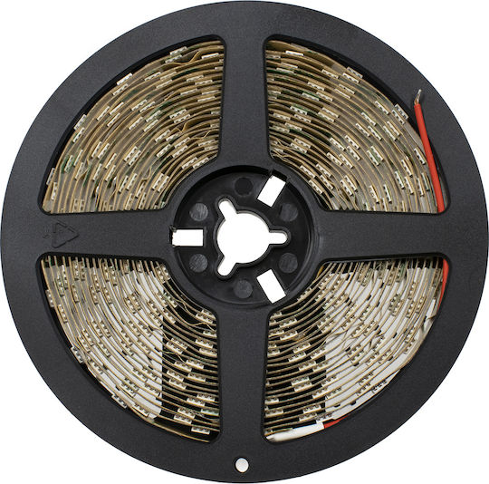 GloboStar Ταινία LED 24V Μπλε Φως 5m Τύπου SMD5050