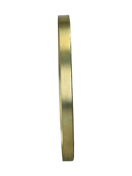 Homii Wandspiegel Oval mit Gold Metallisch Rahmen 42.5x25.5cm 1Stück