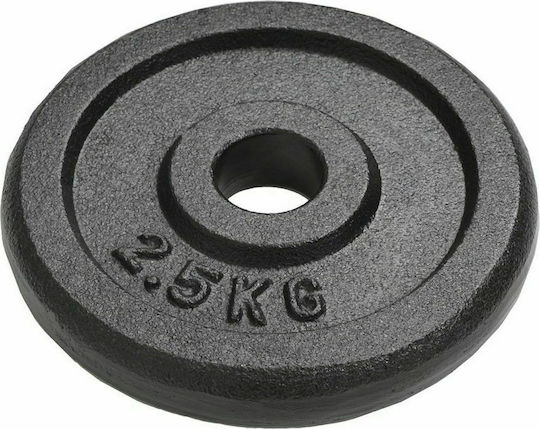 vidaXL Set of Plates Metal 8 x 2.5kg Φ30mm