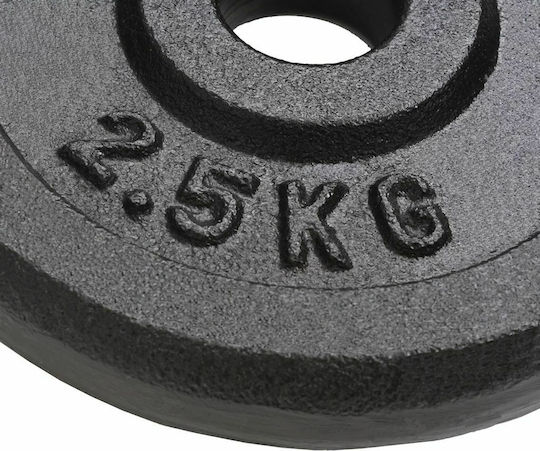 vidaXL Set of Plates Metal 8 x 2.5kg Φ30mm