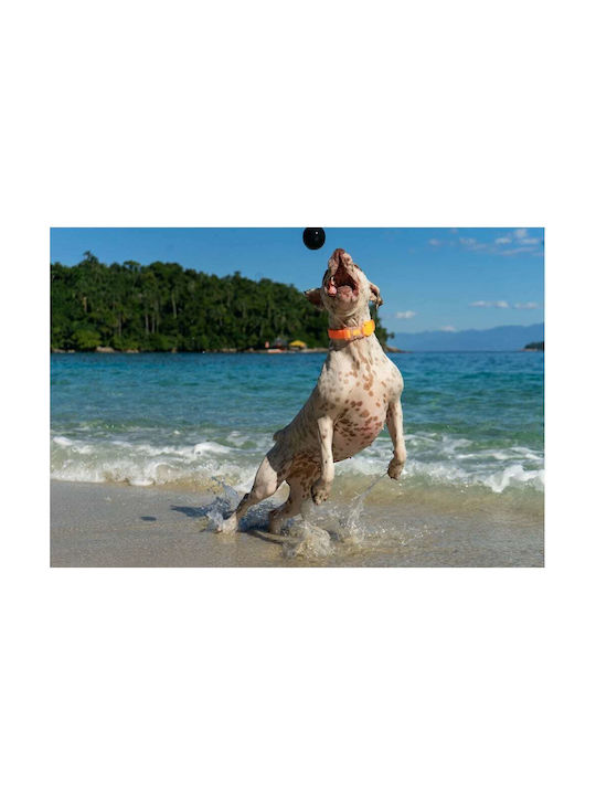 Zee-Dog Cannon Ball Toy Dog made of Rubber 14εκ. Black 1pcs