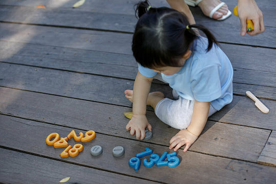 Plan Toys Αριθμοί & Σύμβολα Εκπαιδευτικό Παιχνίδι Γράμματα & Αριθμοί από Ξύλο για 3+ Ετών
