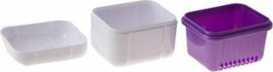 Wisdom Denture Bath Denture Case