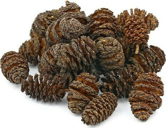 Sera Alder Cones Aquarium Wasserbehandlung zum Umweltschutz 1000ml