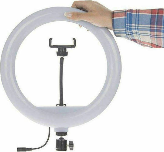 Ringlicht 30cm 3000 - 5800K mit Handyhalter