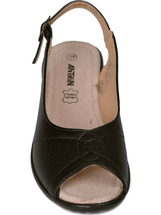 Antrin Nina Women's Flat Sandals in Black Color