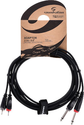 Soundsation JJRR-30BK Cable 2 x 6.3mm male - 2x RCA male 3m (JJRR-30BK)