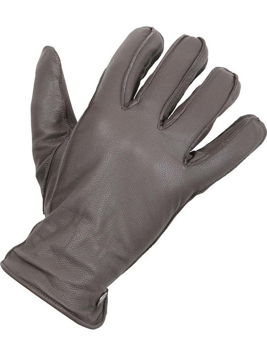 21109 Brown