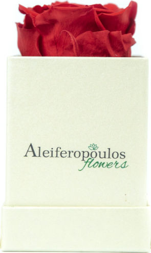 Пантотино Роза в Кутия Aleiferopoulos Flowers Пантотино Роза в Кутия Aleiferopoulos Flowers
