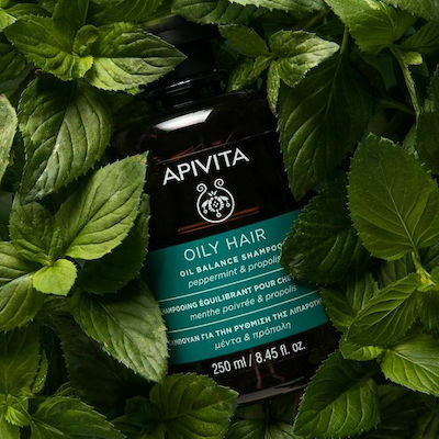 Apivita Oily Hair Σαμπουάν για την Ρύθμιση της Λιπαρότητας με Μέντα & Πρόπολη 250ml