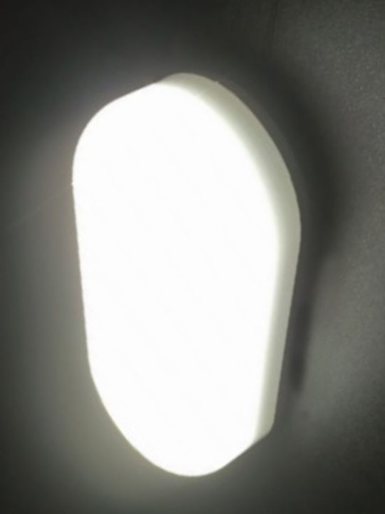 Aca Wall-Mounted Outdoor Turtle Light LED IP66 12W with Natural White Light