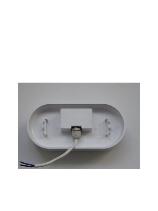 Aca Wall-Mounted Outdoor Turtle Light LED IP66 12W with Cool White Light