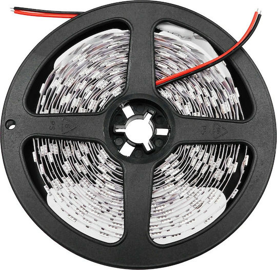 GloboStar Ταινία LED 12V Κόκκινο Φως 5m Τύπου SMD5050