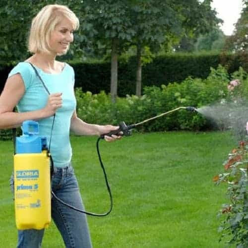 Gloria Prima 5 Pressure Sprayer with Capacity 5lt 3bar in Yellow color