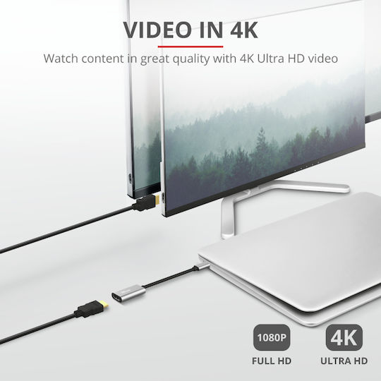Trust Dalyx Convertor USB-C masculin în HDMI feminin Gri 1buc