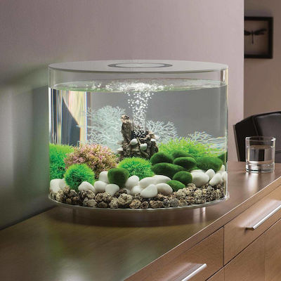 Oase BiOrb Tube Aquarium mit einer Kapazität von 35Es mit Beleuchtung und Schwarz 72071