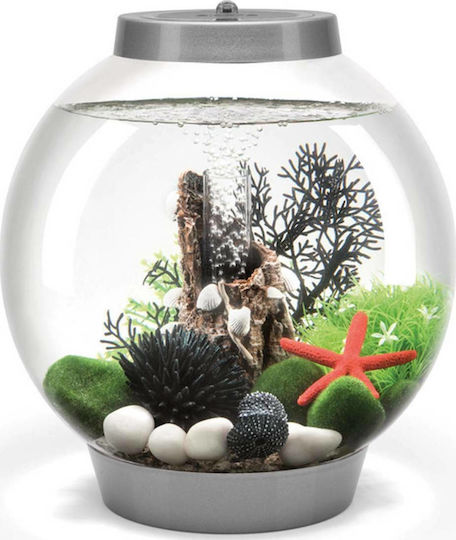 Oase biOrb Classic 15 MCR Fish Aquarium Capacity 15L with Lighting 32x32cm Gray
