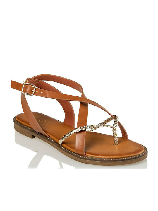 Envie Shoes Women's Flat Sandals in Tabac Brown Color