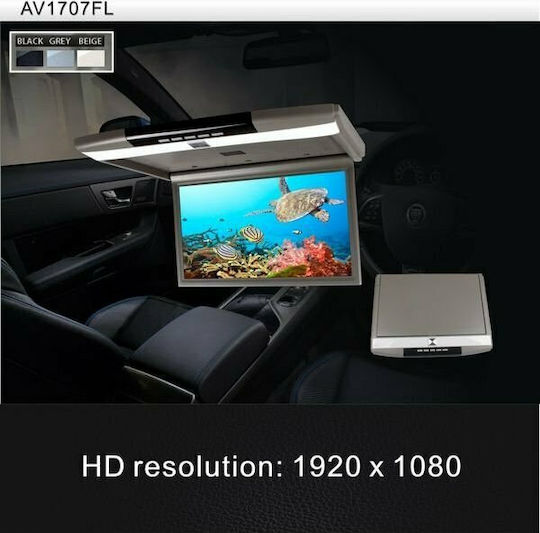 Bizzar Sistem Audio Auto (Bluetooth/USB/Wi-Fi/GPS)