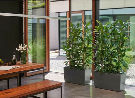 Lechuza Cararo Charcoal Metallic Self-watering Planter Box Plastic Gray 75x30x42.5cm.
