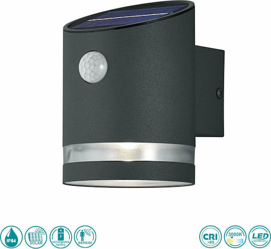Trio Lighting Salta Wall Mounted Solar Light 3W 165lm Warm White 3000K with Photocell IP44 9cmx13cmcm