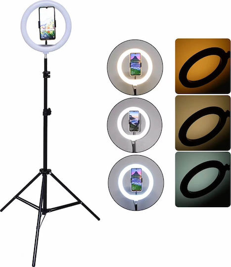 LED Ring Light CXB 300 Ring Light 30cm με Τρίποδο Δαπέδου και Βάση για Κινητό