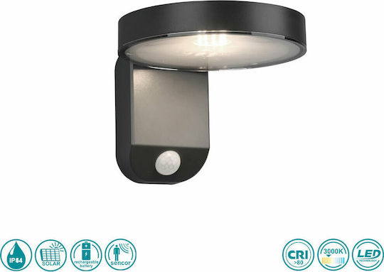 Trio Lighting Posadas Wall Mounted Solar Light 4.5W 290lm Warm White 3000K with Motion Sensor IP44 15cmx12cmcm