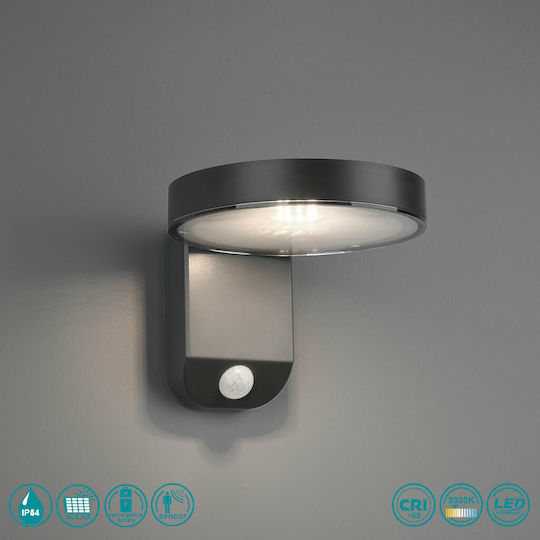 Trio Lighting Posadas Wall Mounted Solar Light 4.5W 290lm Warm White 3000K with Motion Sensor IP44 15cmx12cmcm