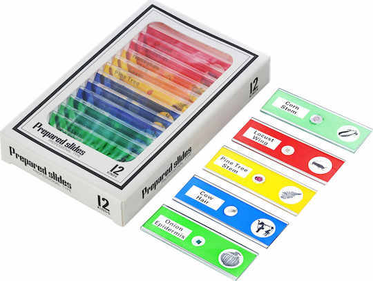 Levenhuk Rainbow DM500 Ψηφιακό Μικροσκόπιο Εκπαιδευτικό με Οθόνη 7-200x