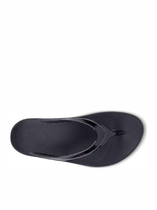 Oolala Luxe Women's Flip Flops Purple
