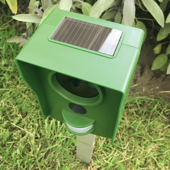 STV Abwehrpfosten Katzen Solar